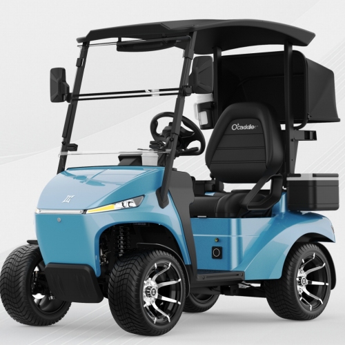 AI po elektrycznym wózku golfowym